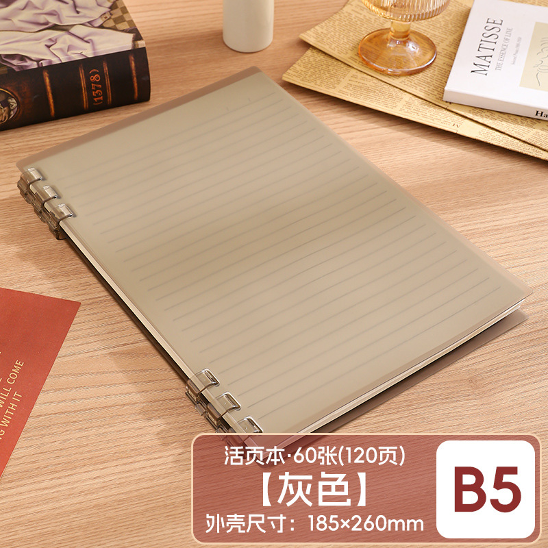 Este cuaderno de hojas sueltas B5 se puede desmontar para reemplazar el núcleo, la portada de las hojas sueltas PP respetuosas con el medio ambiente no presiona el libro de bobinas engrosadas a Mano.