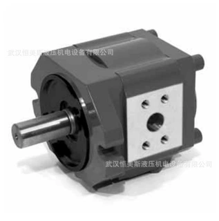 德国HYDAC贺德克齿轮油泵PGE104-630-RBV1/1-N-XXXX