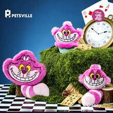 ��˼�S��ʿ�ጙ����߹�؈ë�q�l��߲�؈푼��l��؈��ͨ��