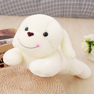 趴趴狗香味狗圖片 海量高清趴趴狗香味狗圖片大全 阿里巴巴