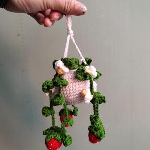 Woven finished plant car pendant ornaments car rearview mirror pendant creative car pendant 2024 new style