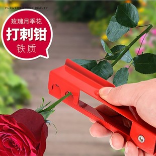 ��ˇ�������l õ�����Q��̊A��������������Ʒ�r�����b����