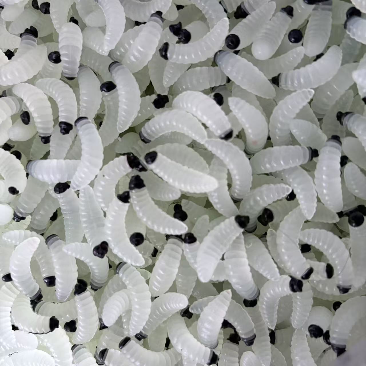 微信图片_20250221171305