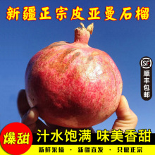 新疆皮亚曼石榴非突尼斯软籽石榴新鲜当季会理红宝石大果石榴水果