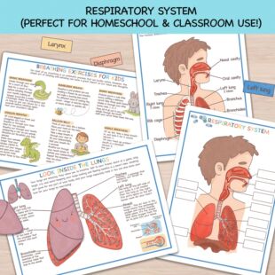 5������ϵ�y�̌W��Ƭ  ��ͯ�ƌW�J֪����  ���w���ս����̾�