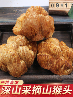 �|��������ɽ���^����؛�^��ɽ���^Ģ��؛ɢ�b��Ұ�����^����500g