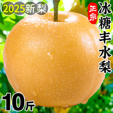 �����R��Sˮ��10�����rˮ�������Fժ�S��������ѩ��������]