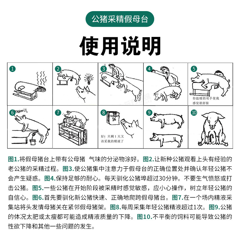 Mesa de cerdas falsas, mesa de cerdas falsas, mesa de madres falsas, equipo de granja de inseminación artificial para cerdos, mesa de cerdas falsas, mesa de madres falsas para cerdos