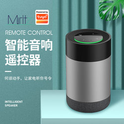 Graffiti certification source manufacturer smart remote control speaker wifi smart home infrared repost remote control new products