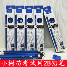 小树苗考试用2B铅笔六角电脑阅卷涂卡铅笔美术生素描用学生无铅毒