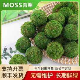 永生球形苔藓球桌面办公摆件室内青苔球装饰绿色草球仿真干花球