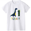 Cartoon dinosaur for boys, children's shirt, T-shirt, Birthday gift