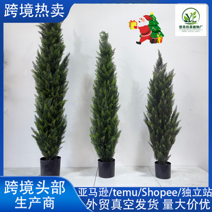 ����Gֲ�}�Q�ɰؘ��҃�ѩ�ɘ�Ҿ�����b����̈��쾰�[����ֲ��