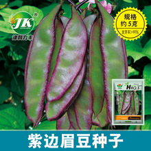 �S�����l��߅�ⶹ�N�Ӵ��ļ��ˈ@���ٶ����߲˷N����ɫü���˷N��