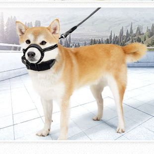 Dog Muzzle to Prevent Biting, Small Size Dogss, Medium and Large Dogs, Anti-Barking, Anti-Picking, Anti-Eating, Anti-Adding, Drinkable Golden Retriever Dog Muzzle