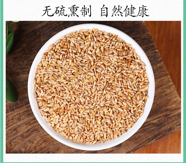 Wild Platycladus Seed Bai Zi Ren 500g Dried Herb for Tea and Decoction preparation