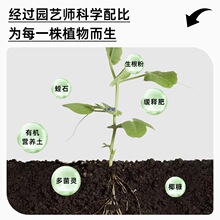 �I�B�������B���N������������ͨ���ͷNֲ���@ˇ������������