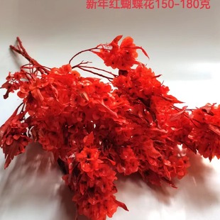 ��ϸɻ� ����������t������������c���̈�����������Ӽ��b�