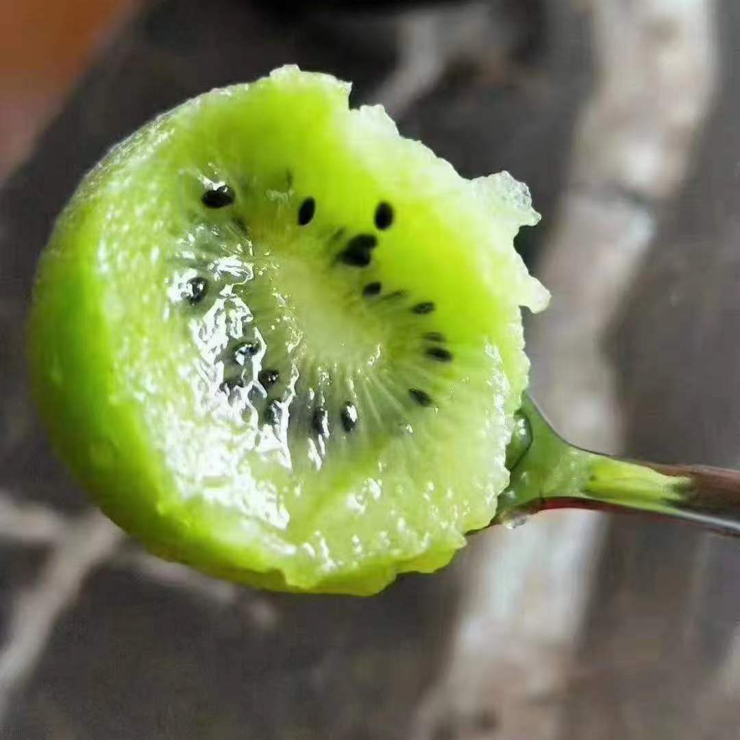 微信图片_20221118013958