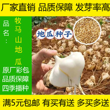 ���Rɽ����ع�ɳ��N�ӻ�����@¶���̨����ͥԺ�����������