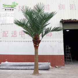 仿真仿真椰子树商场室内外装饰棕榈树海藻植物大型户外造景椰子树