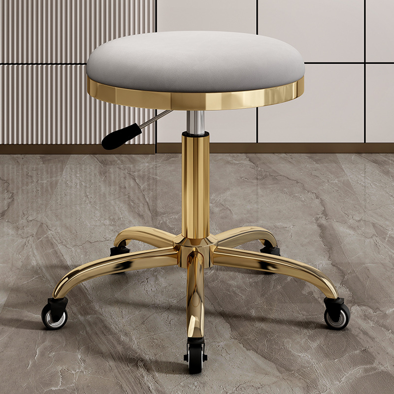 silla de dentista de estética elevadora polea de manicura silla giratoria silla de computadora silla de laboratorio maestro taburete