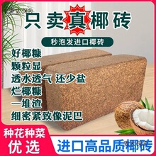 Ҭ����Ҭ�u��B�N��ͨ�ô�KÓ�}Ҭ�������⻨��Ҭ����Ҭ����̫��
