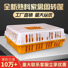 鸡笼家禽运输周转箱塑料鸡笼子家用养殖加大加厚鸡鸭鹅鸽鸡笼