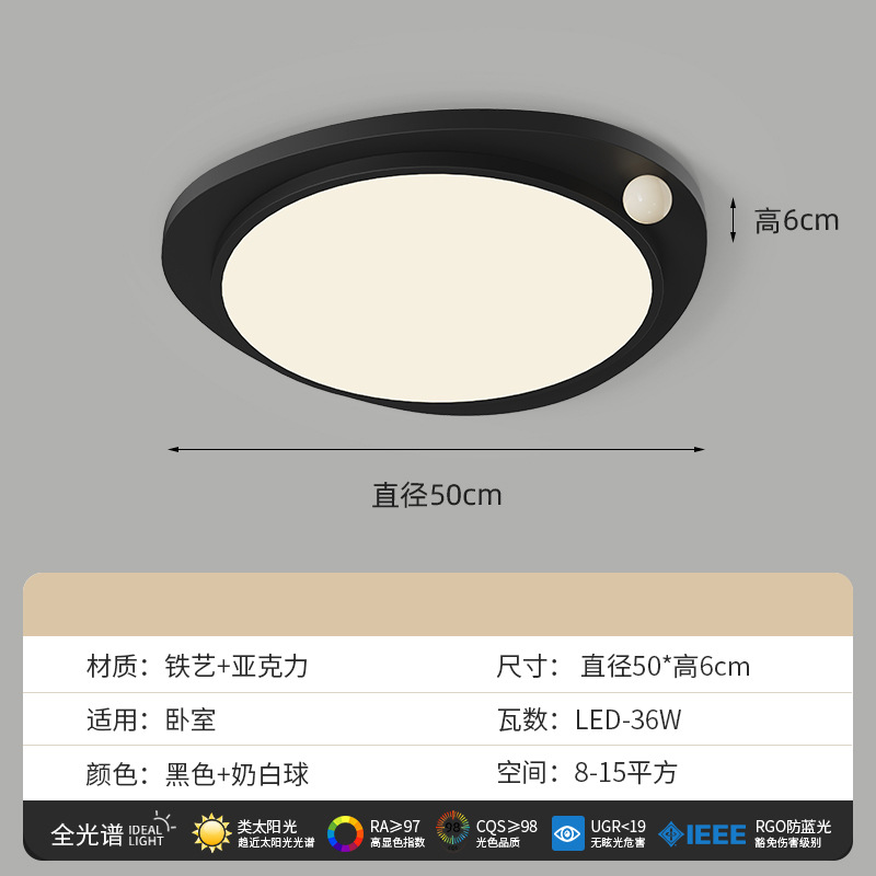 Lámpara de techo minimalista de estilo italiano, luz principal de la sala de estar, luz de la habitación del dormitorio principal de la atmósfera negra, creativa simple y creativa creativa