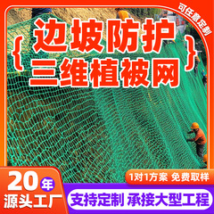 护坡绿化三维植被网厂家植草固土三维土工网垫加筋塑料三维植被网