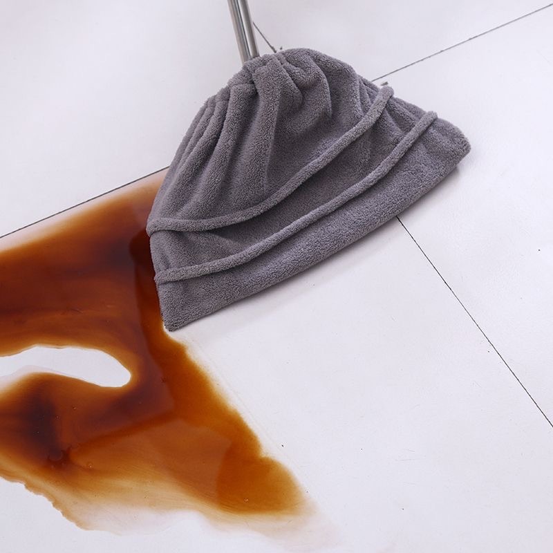 厚いサンゴの絨毯の怠け者の除塵掃除はセットを吸水して掃除します。|undefined