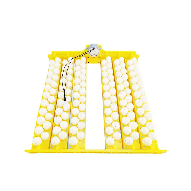 Incubadora automática Placa de huevo de pollo pato codorniz Placa de huevo con motor pequeño hogar incubadora accesorios de suministro transfronterizo