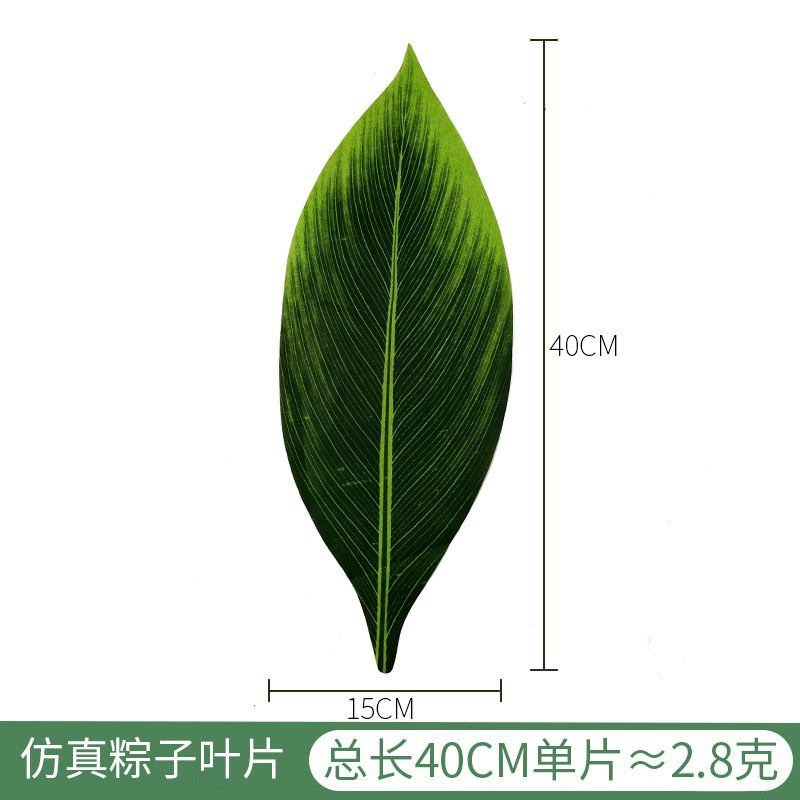 迷你中龟背叶 (2)