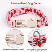 C 74901 Pet dog collar ��С��Ȯ�������Ȧ�羳��ó������