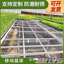 花卉专用网格式苗床热镀锌材质防腐防锈种植架移动温室大棚植物
