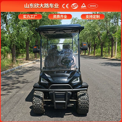 Electric Sightseeing Car, Sightseeing Elektrikli qolf avtomobilləri