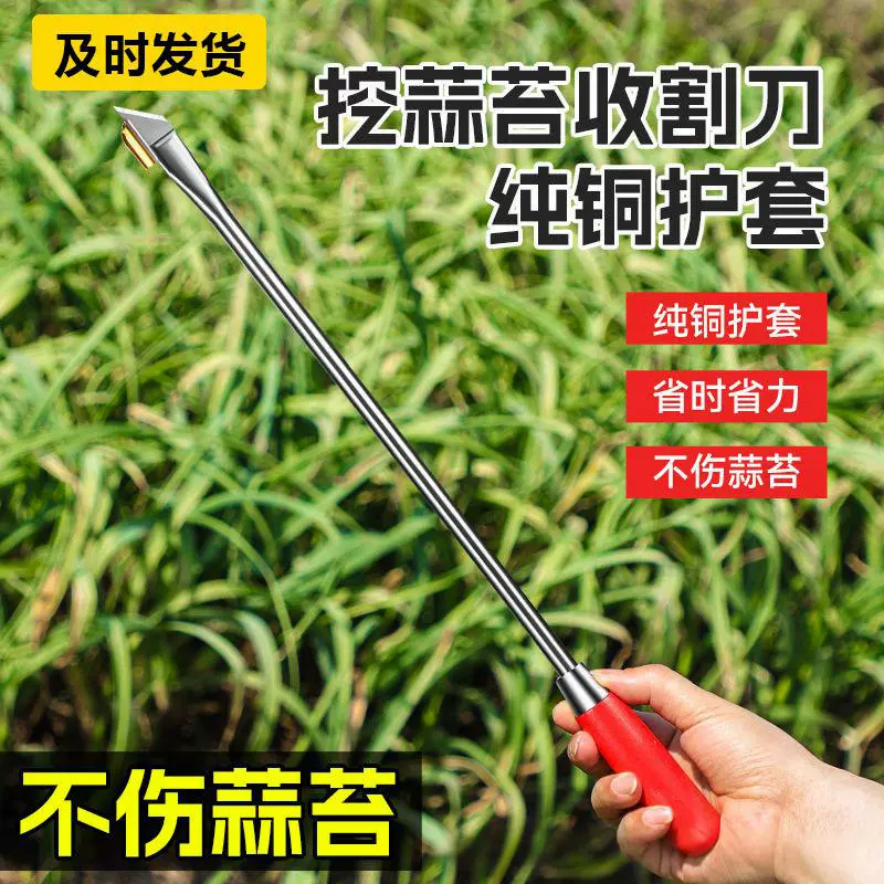 蒜苔收割刀拔蒜苔工具蒜薹刀加长不锈钢抽蒜苔打蒜苔划剥蒜苔工具