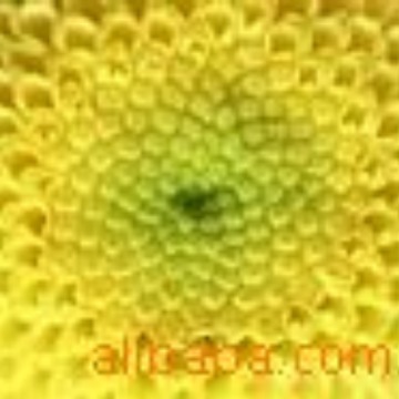 供应优质菊花香精50KG起售