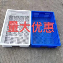 全新料装小龙虾的塑料框周转筐批发专用  水产运输小眼虾苗筐