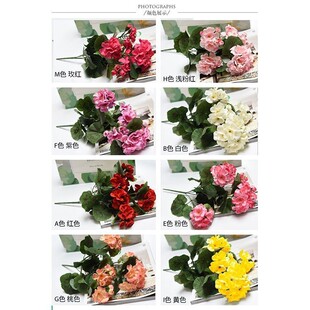 �羳����վ���S����ֱ�����Ļ����ÿ����컨���N���Ļ��z�����R�d