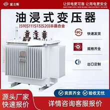 s11-250/630kva油浸式变压器柱上高压三相铜铝芯电力变压器10kv