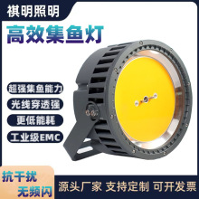 LED~1200Wˮិҹ឴ò~T~~~̽՟