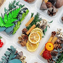 �ֹ�diy���ϰ����b������Ȼֲ��ɻ��}�Q�ɹ��׃��@ɭϵ�h���b�