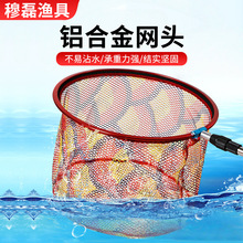 �X�Ͻ�һ�w���W�^35 40 45 50cm���W�^�������W�^��~���~�W�^