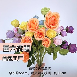 ��֦6�^��߅õ��֦õ���Y�����҃��쾰���Ñ�������滨�ٻ�