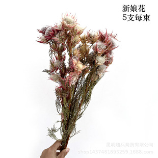 ���ϷǸɻ����ɻ��ȼ������� �����F؛���a؛