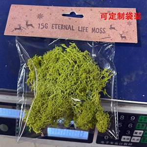 Мосс оптом Reindee Moss 10G Bag Установлена ​​навсегда защита от стены навсегда Мосс Цветочный Цветочный Украшение