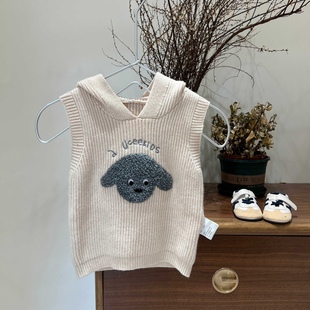 Xiao Nuomai Children's Clothing 2025 Autumn and Winter New Hooded Embroidered Sweater