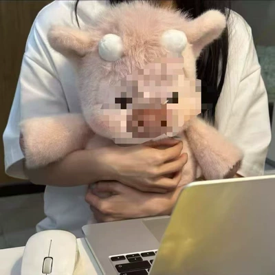 Pillow, Foreign Trade Doll, Oyuncaq yastıqlar - scottish-highland-cow-pink-30cm-45cm028kg