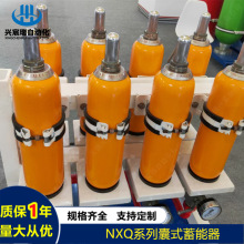 供应蓄能器皮囊NXQ2-F100/10-H ,NXQ2-F100/20-H ,NXQ2-F100/31.5